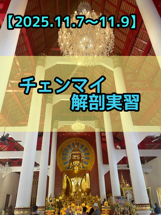 [2025.11.7〜11/9]  チェンマイ解剖実習