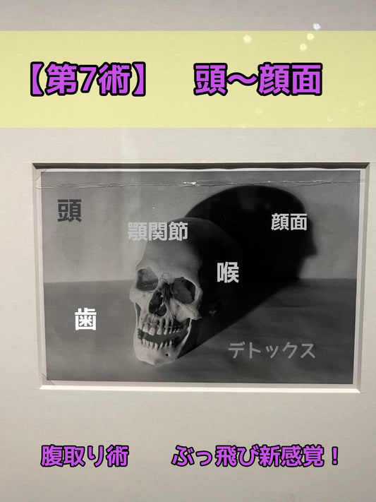 【腹とり第7術】ぶっ飛び新感覚　頭-顔面