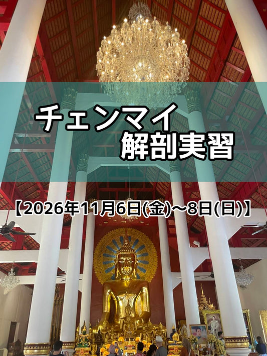 [2026.11/6〜11/8]  チェンマイ大学【解剖学実習】