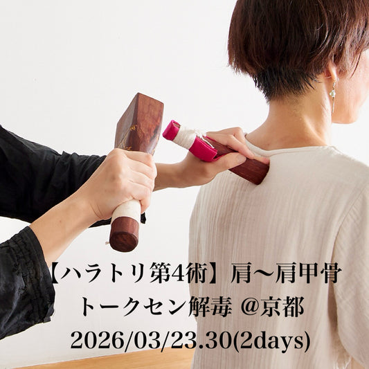 2026年3月【第4術】 肩〜肩甲骨『トークセン解毒』＠京都